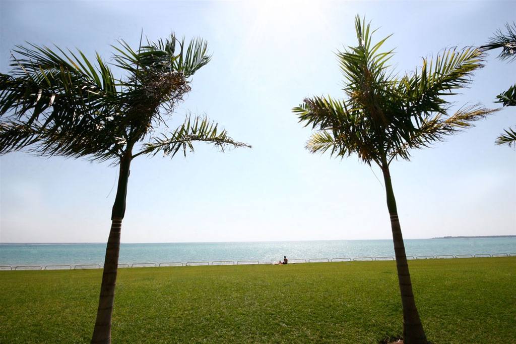Quality Hotel Darwin Airport Ανέσεις φωτογραφία Palm trees at the beach